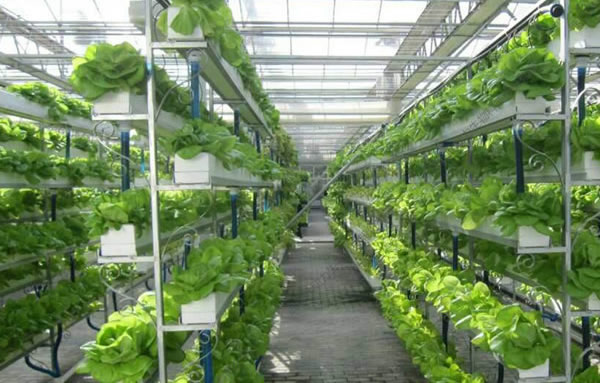 必发·bifa(中国)唯一官方网站