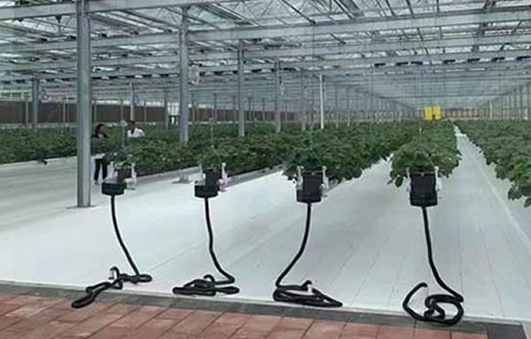 必发·bifa(中国)唯一官方网站