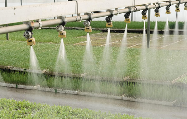 必发·bifa(中国)唯一官方网站